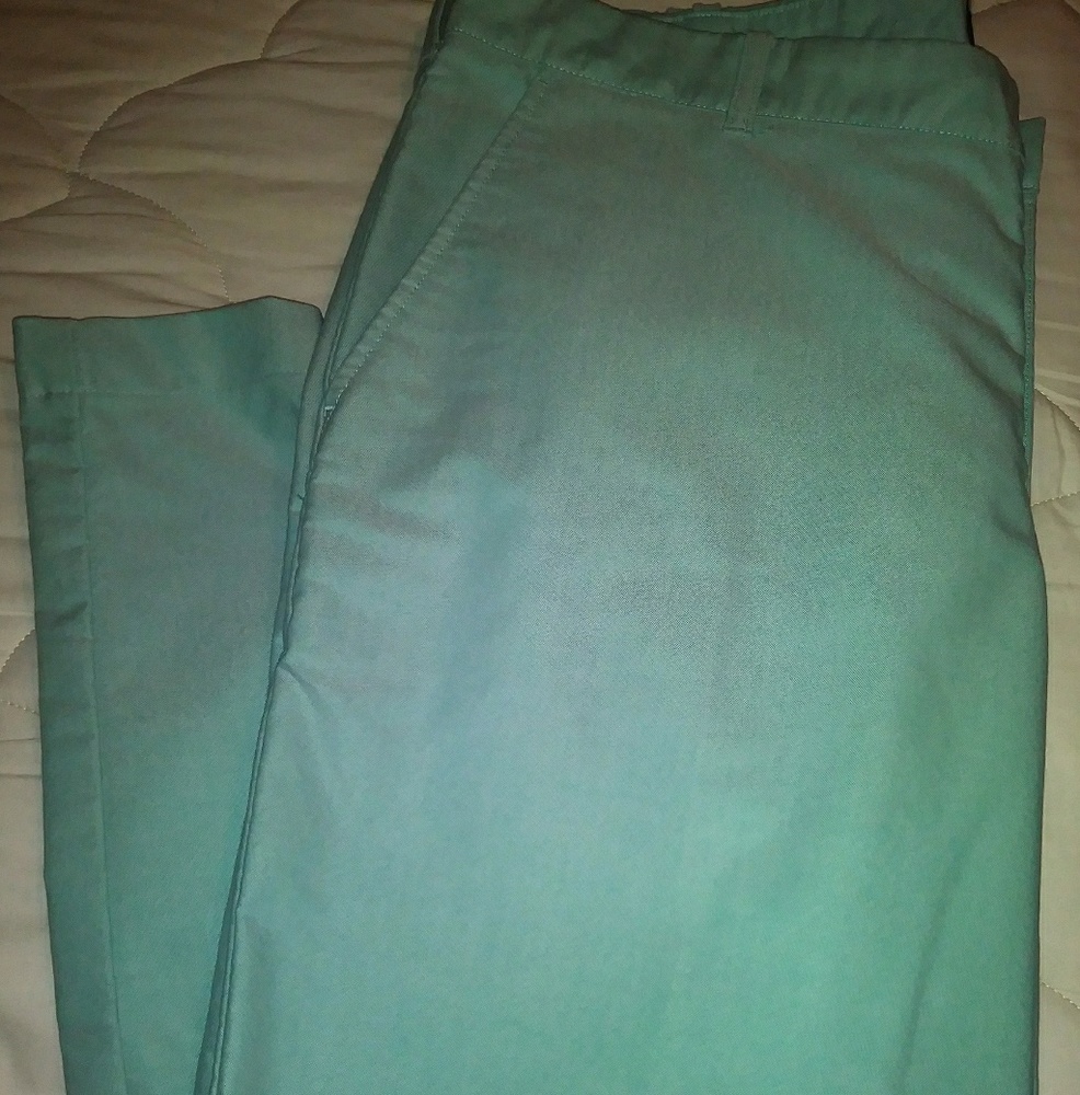 IZOD Mint Green Flat Front Pants